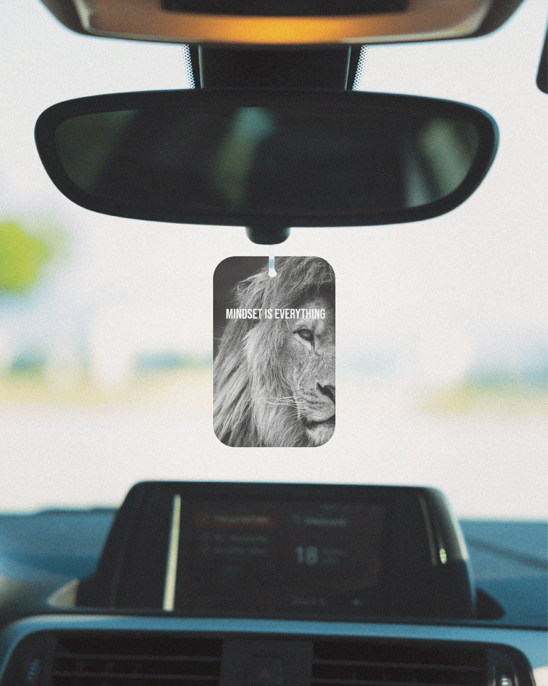 Mindset is Everything! - Airgop